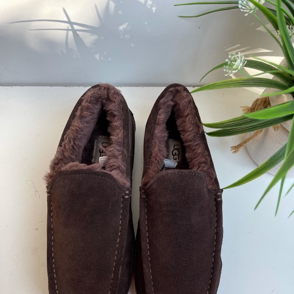 UGG ??Ascot Brown Slippers sz 8 Brand New main image 4